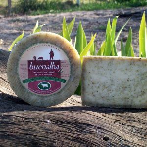 Cuña de queso Curado con Romero